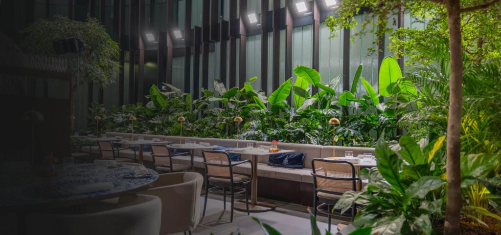 Miért érdemes növényeket tartani otthon és az irodában?