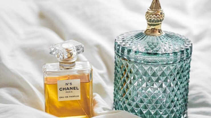 Illusztráció: Laura Chouette