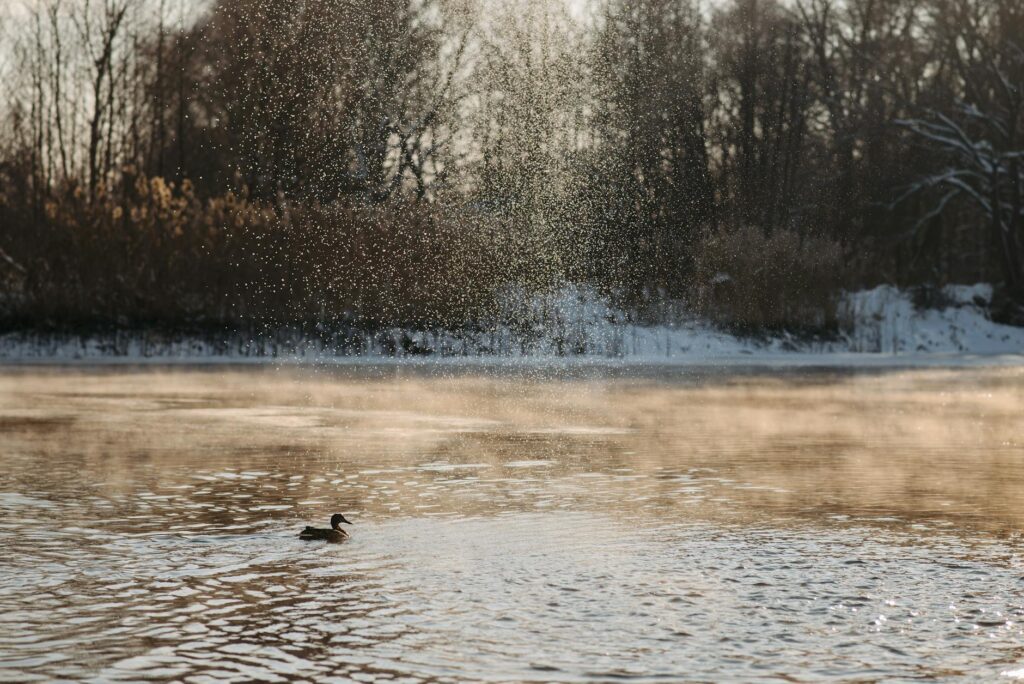 Miért érdemes kipróbálni a hideg vizes fürdőzést a téli hónapokban?