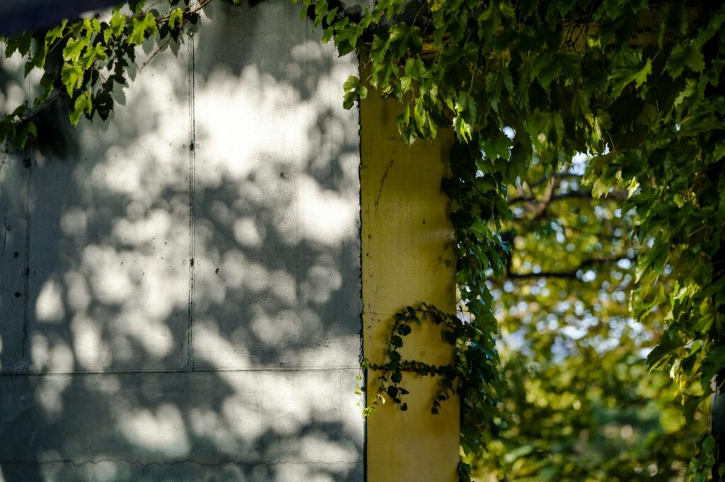 Miért érdemes idén Dél-Csehország nyugodt tájait választani a zsúfolt nagyvárosok helyett