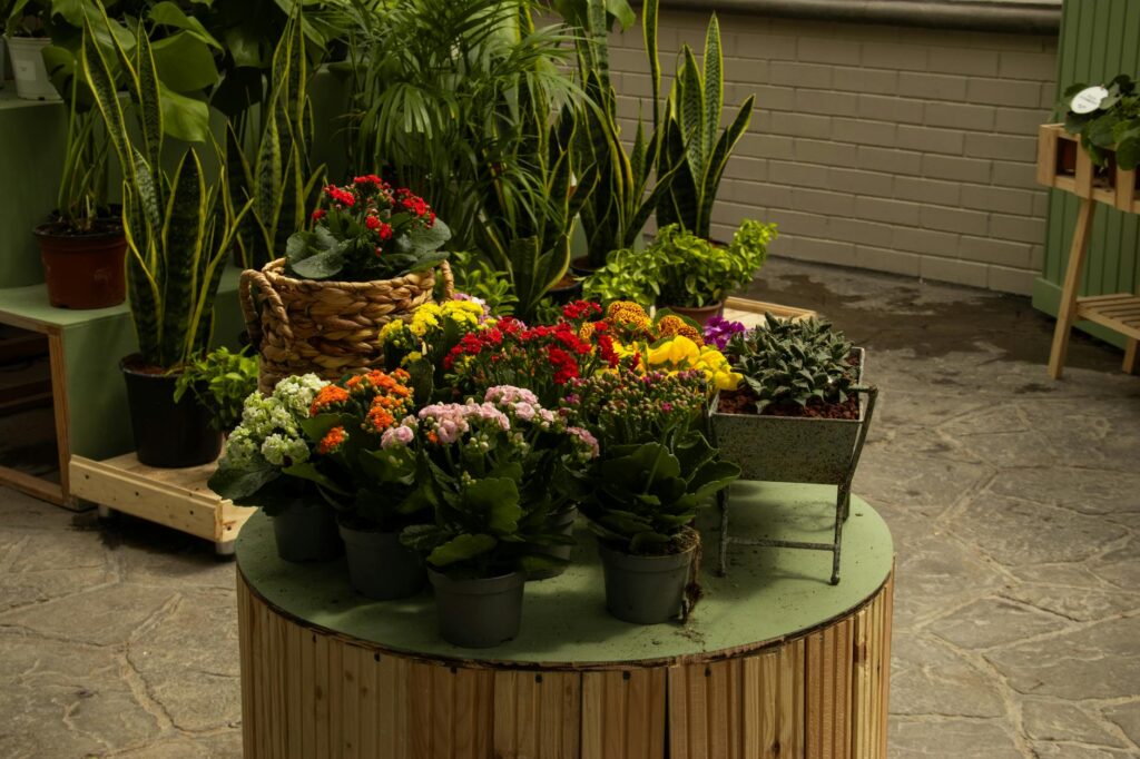 Így tarthatjuk életben a szobanövényeinket a fűtésszezon idején is