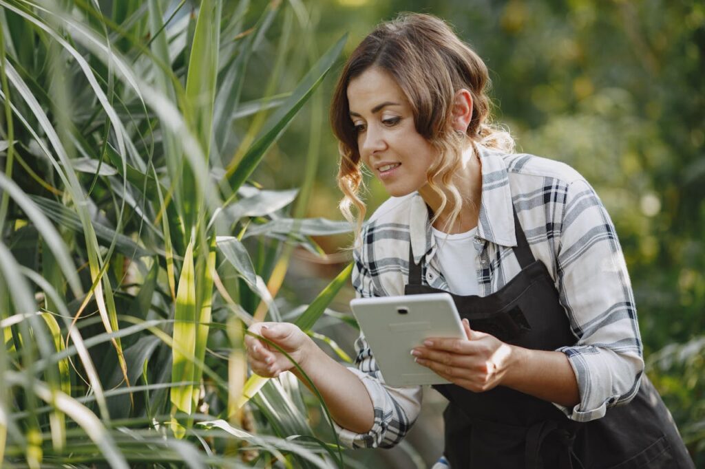 Okos szenzorok az otthon körül: így lesz adatvezérelt a kerted